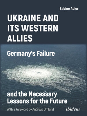 cover image of Ukraine and Its Western Allies